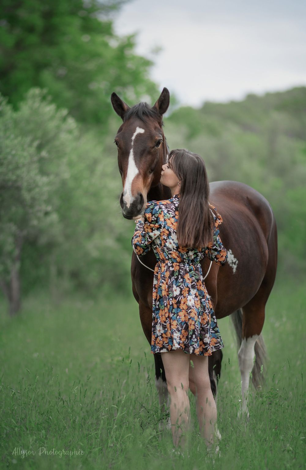 Séance photo animalière à Cotignac dans le Var – chiens, chats et chevaux