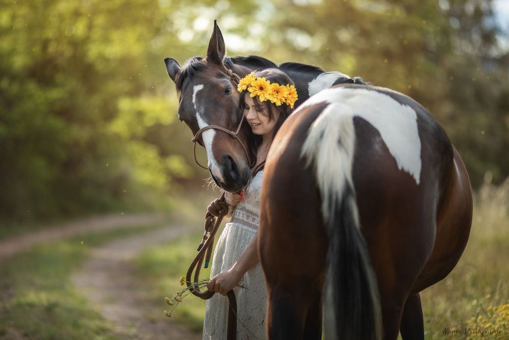 Séance photo animalière à Cotignac dans le Var – chiens, chats et chevaux