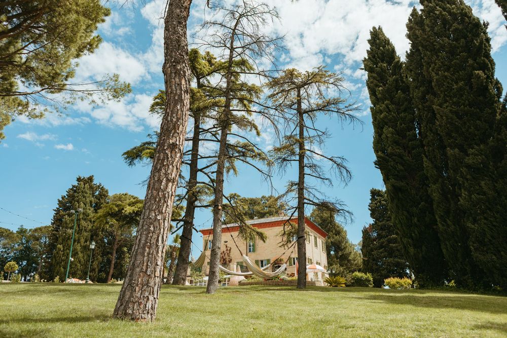 Charming Italian villa surrounded by tall pine and cypress trees on a sunny day with blue skies.