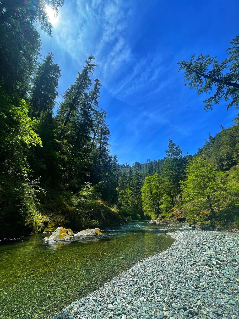 A scenic river landscape with rocky shoreline and evergreen trees under bright blue skies on a sunny summer day.
