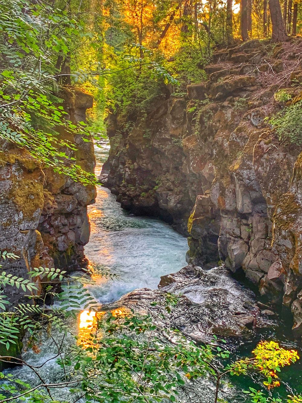 Rushing river water flows through a rocky canyon gorge surrounded by autumn foliage and sunlit forest.