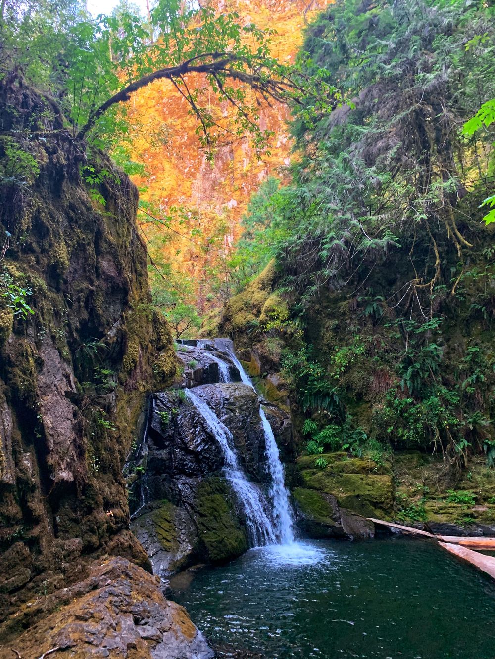 Scenic waterfall cascades into emerald pool surrounded by mossy cliffs and lush greenery under golden sunlit sky.