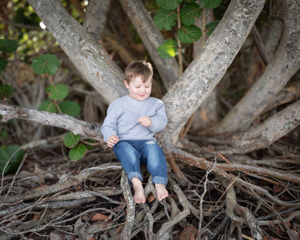 A child perches on a gnarled tree branch in a natural outdoor setting.