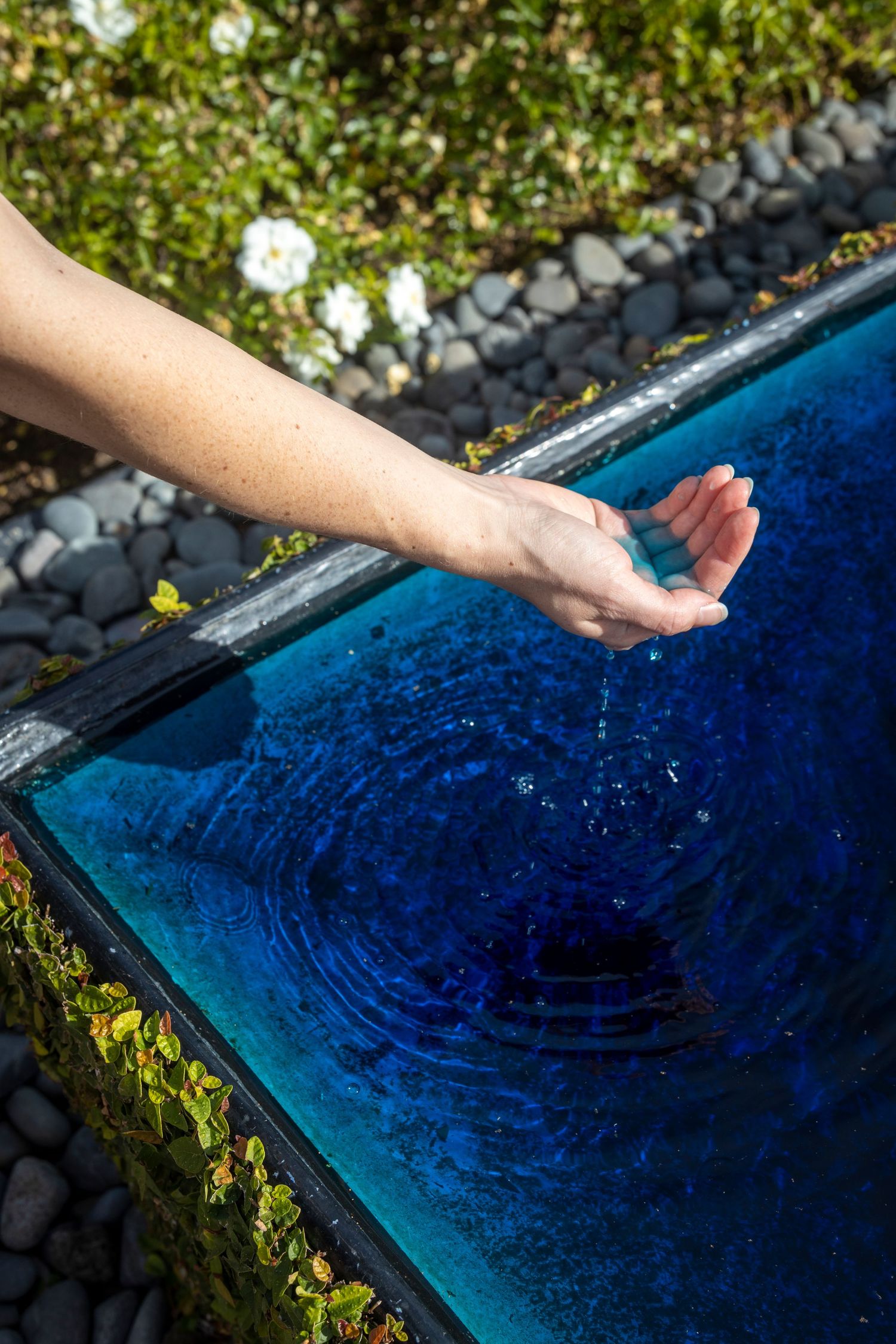 Hand reaching over a deep blue water feature, creating ripples amid surrounding greenery and white flowers.