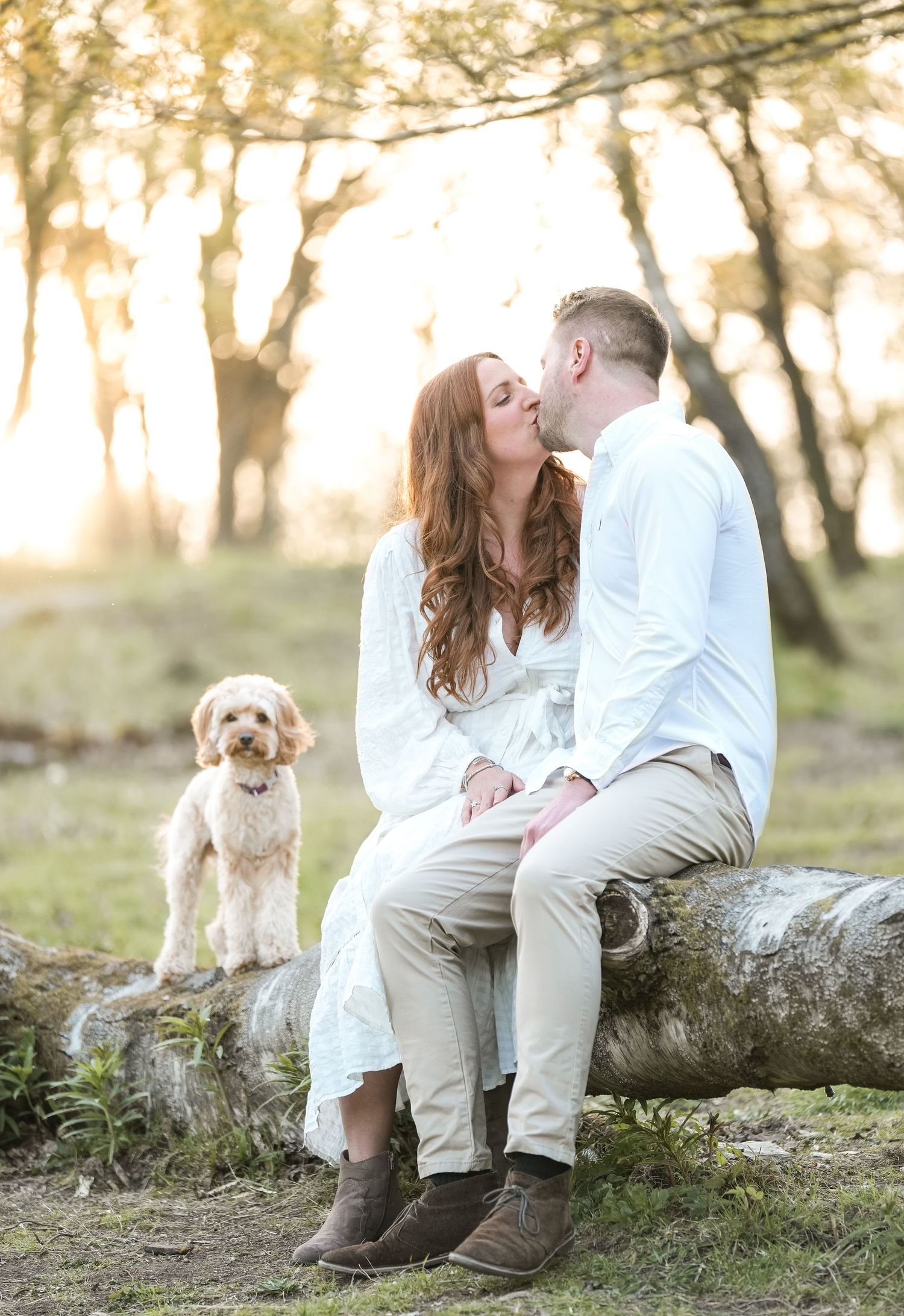 Couple sitting on fallen tree with dog in golden sunlit forest.