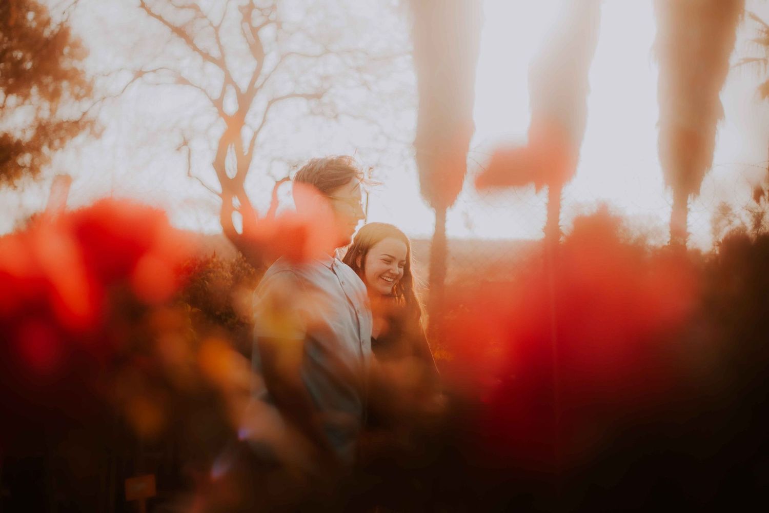 Person photographed through red flowers with soft focus and warm lighting.