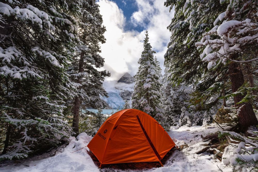 Orange tent pitched in snowy forest with snow-laden evergreen trees.