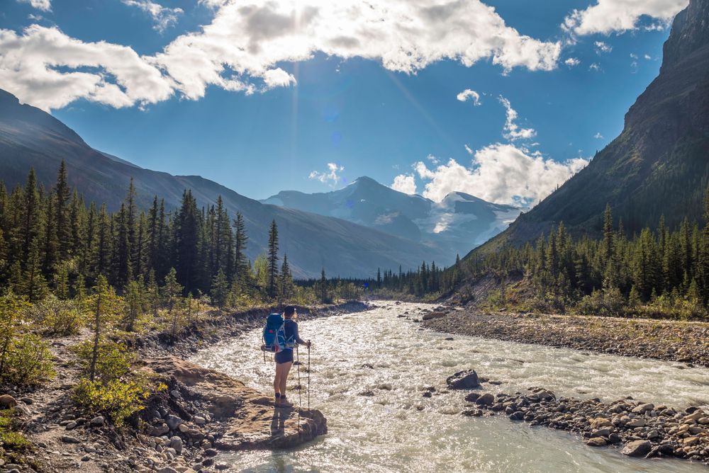 Trail runner on rocky path through mountain valley with evergreen forest.