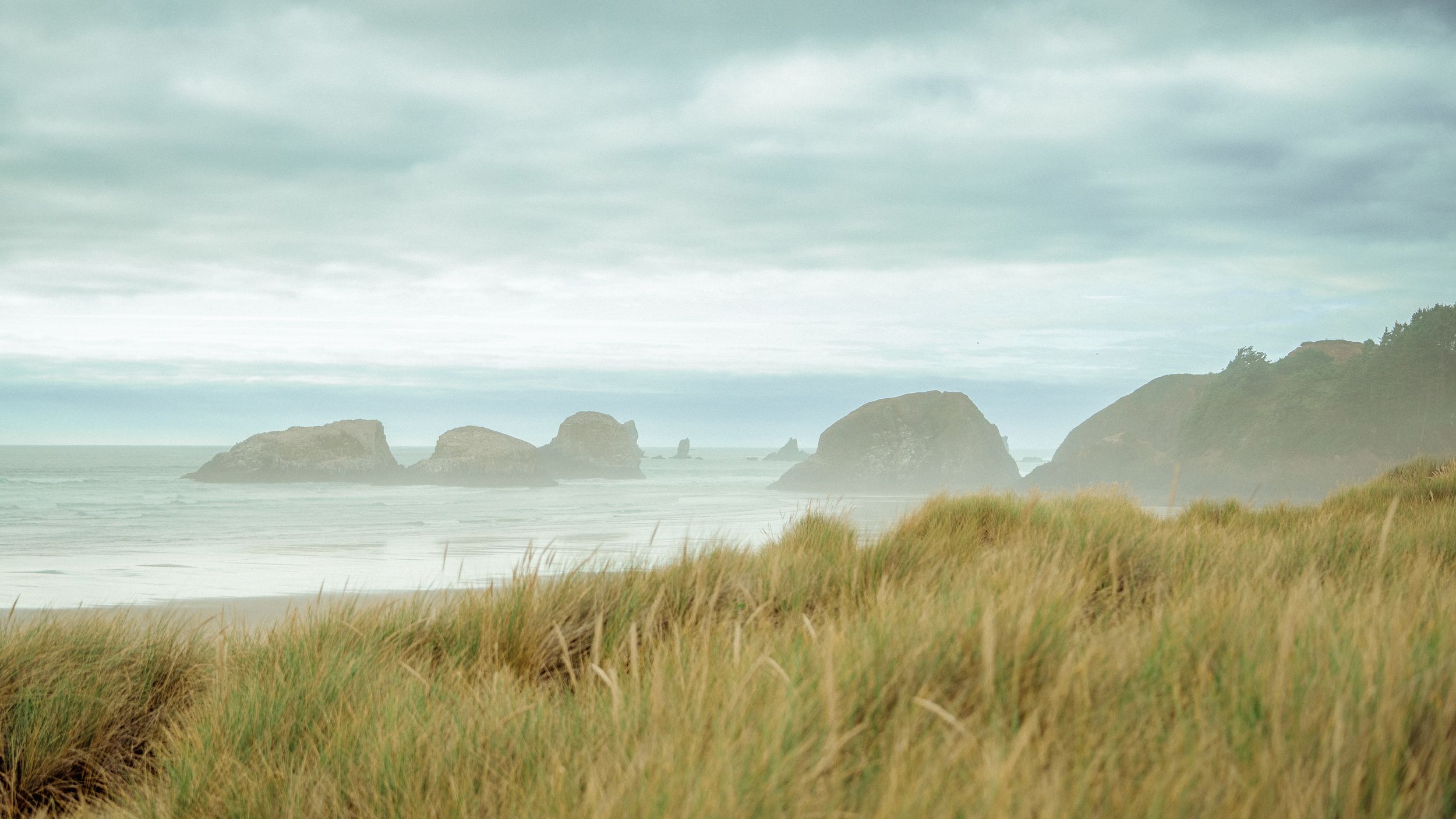 Panoramic view of a misty coastal landscape with green grass and rugged cliffs along the shoreline.