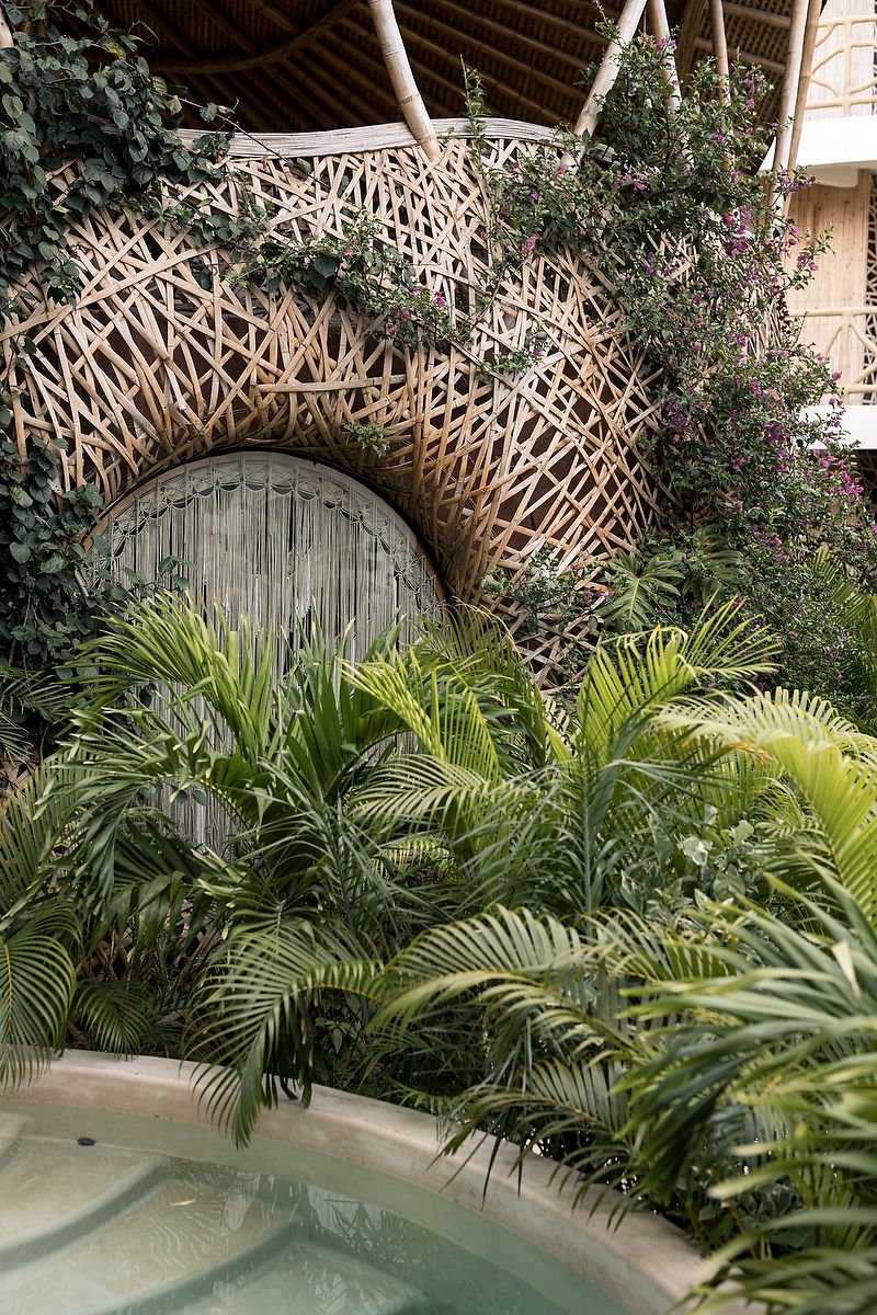 Curved wooden lattice structure creates an architectural canopy over lush tropical palm plants and greenery.