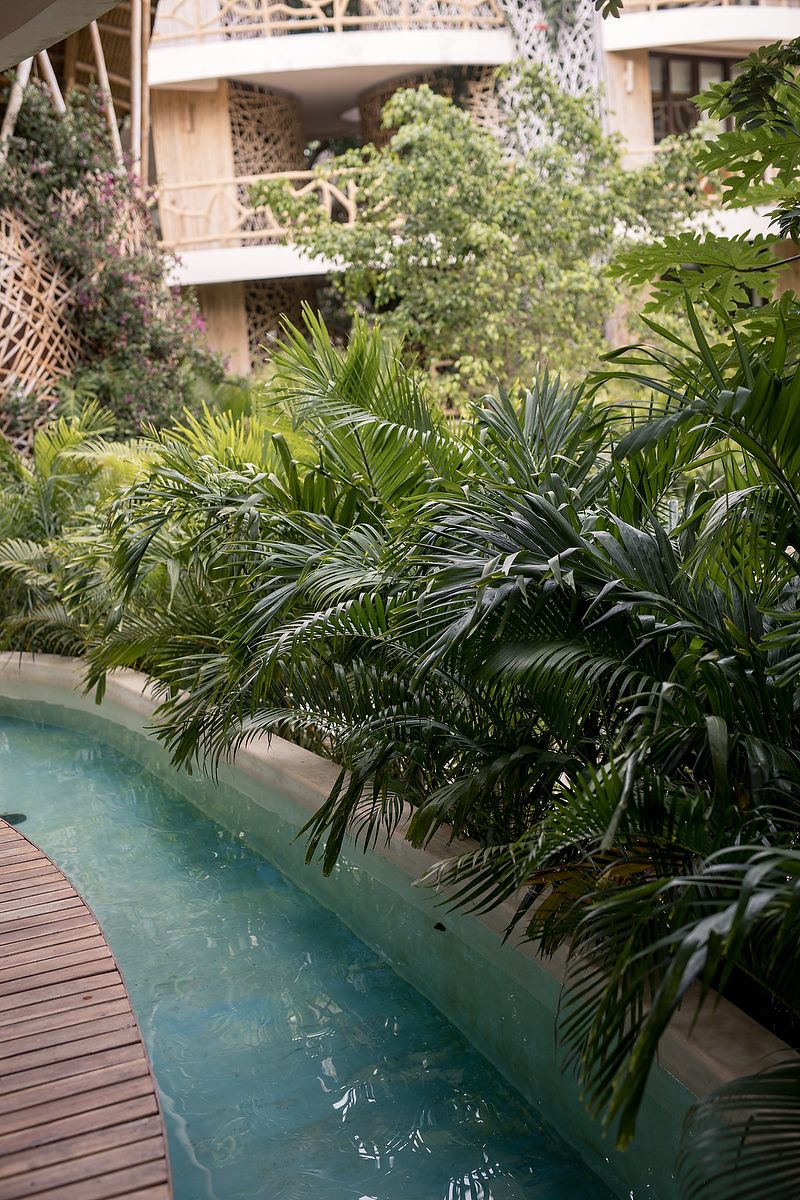 A luxurious swimming pool surrounded by lush tropical palm plants and wooden decking creates a serene oasis setting.