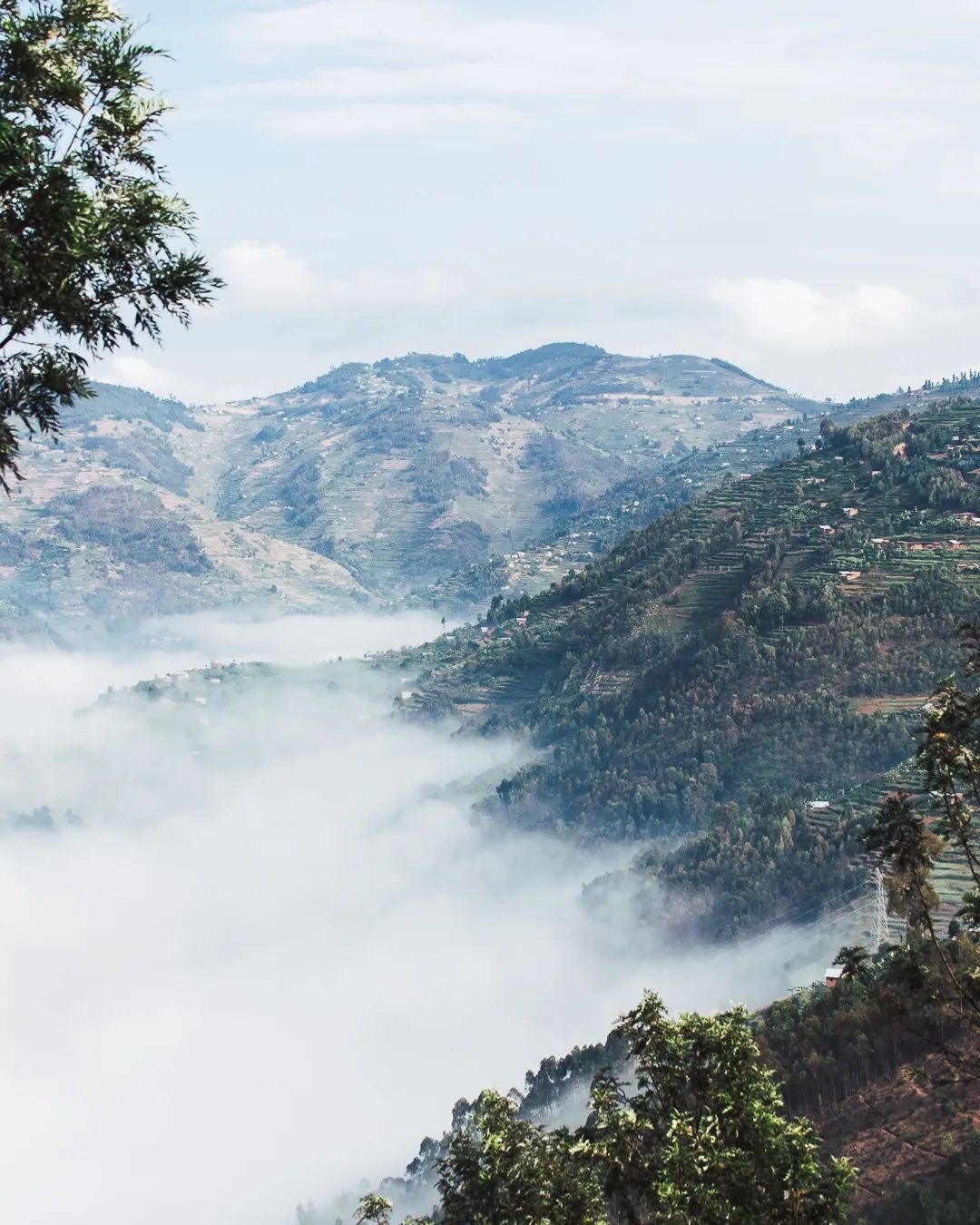 Misty mountain landscape overlooking lush valleys, showcasing natural beauty, highland scenery and peaceful rural views.