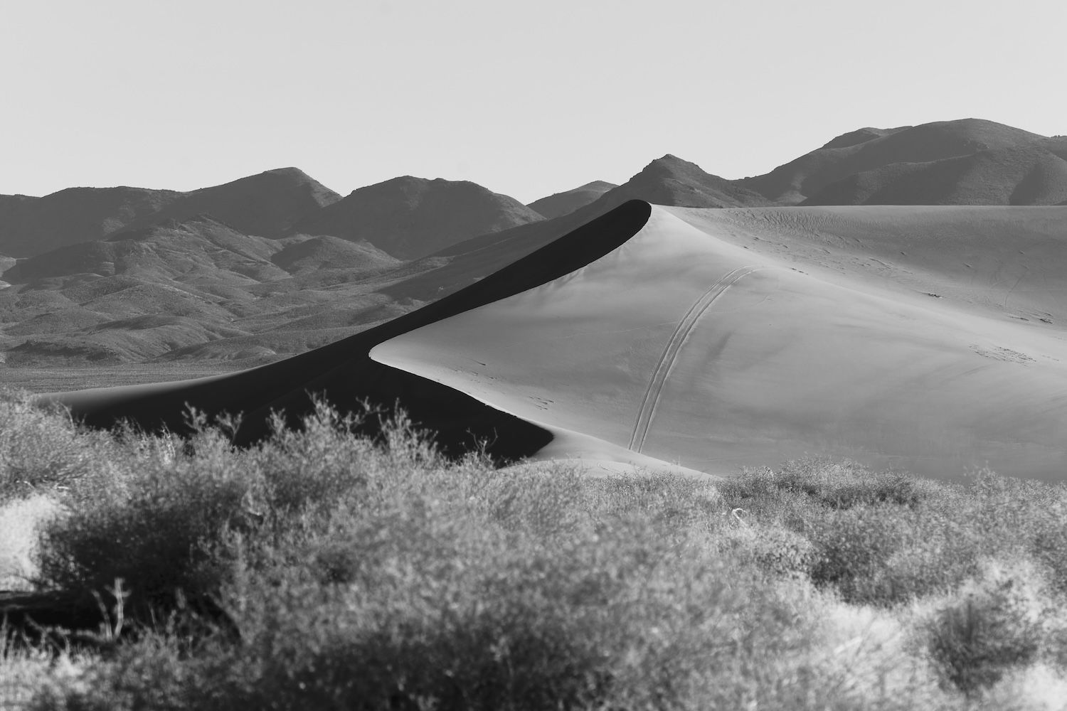 Black-and-white desert landscape with a large sand dune, sparse shrubs, and a mountain range in the background.