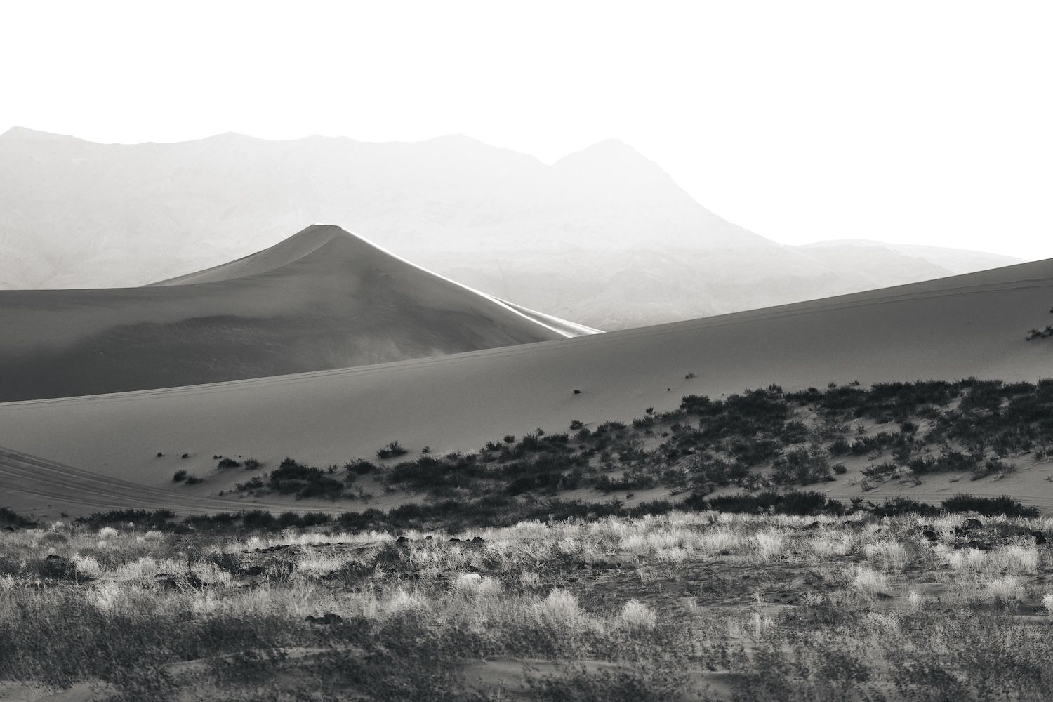 Black and white desert sand dunes with scrub brush and mountain backdrop in arid landscape.