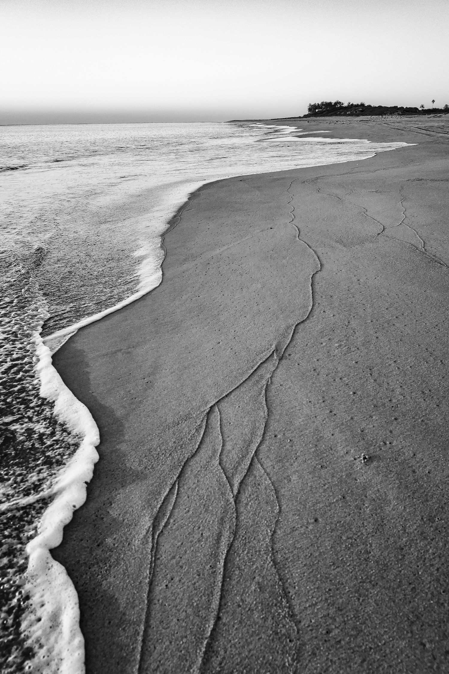 Black and white beach shoreline with gentle waves, wet sand patterns, and distant tree line under a clear sky.