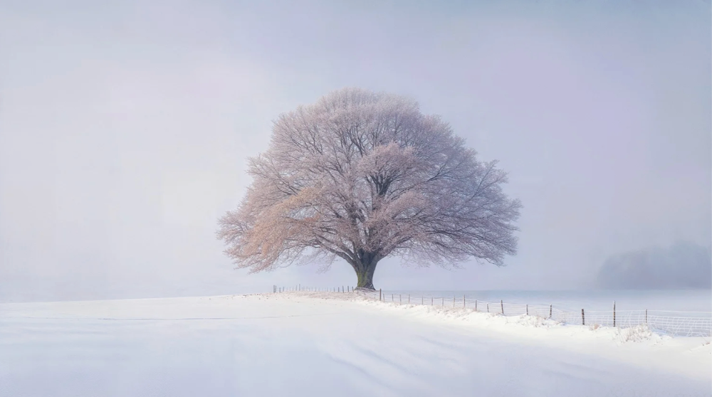 Minimalist winter landscape with solitary tree in snowy field under pale blue sky.