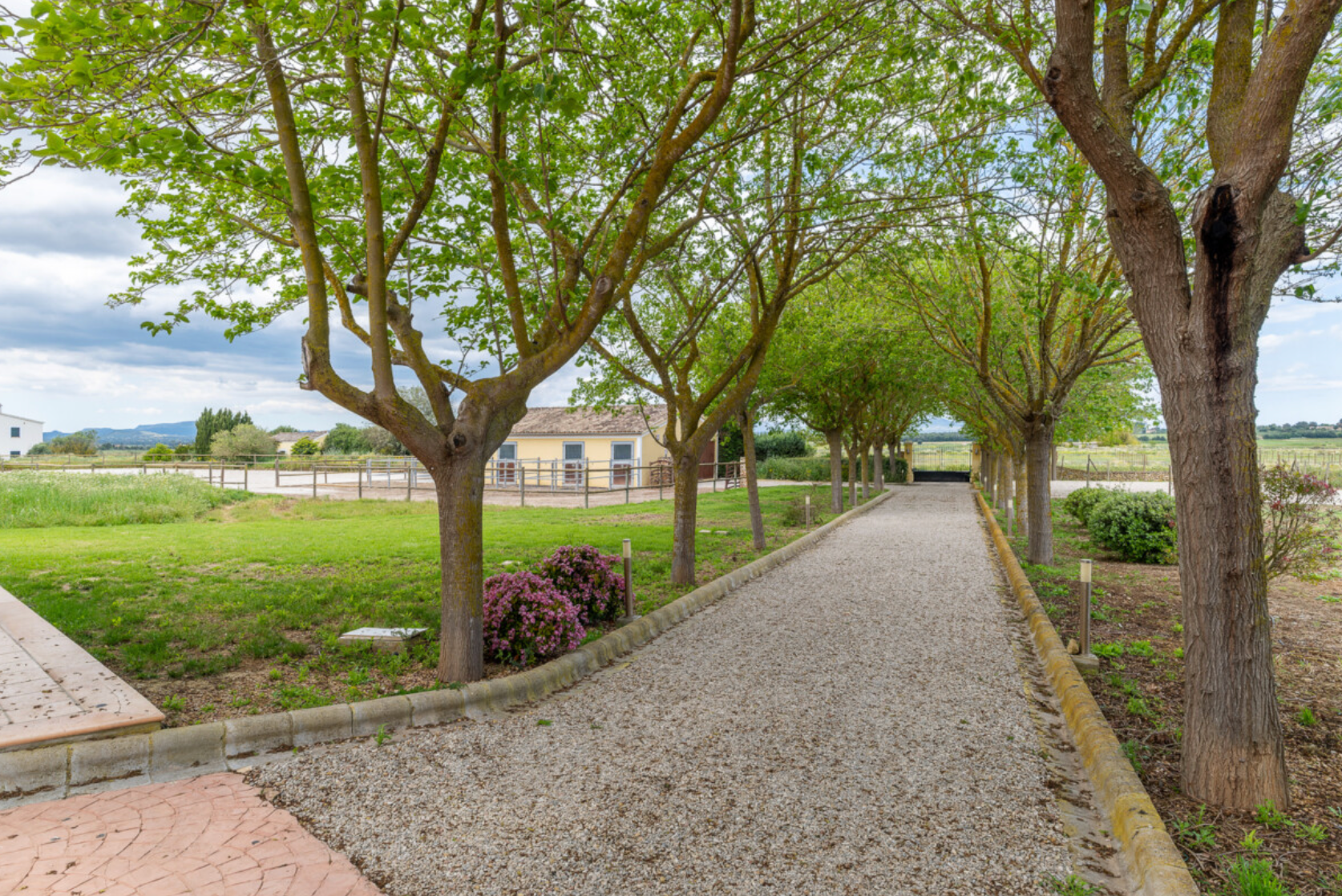 Tree-lined gravel path curves through a peaceful park with green grass and benches in the background.
