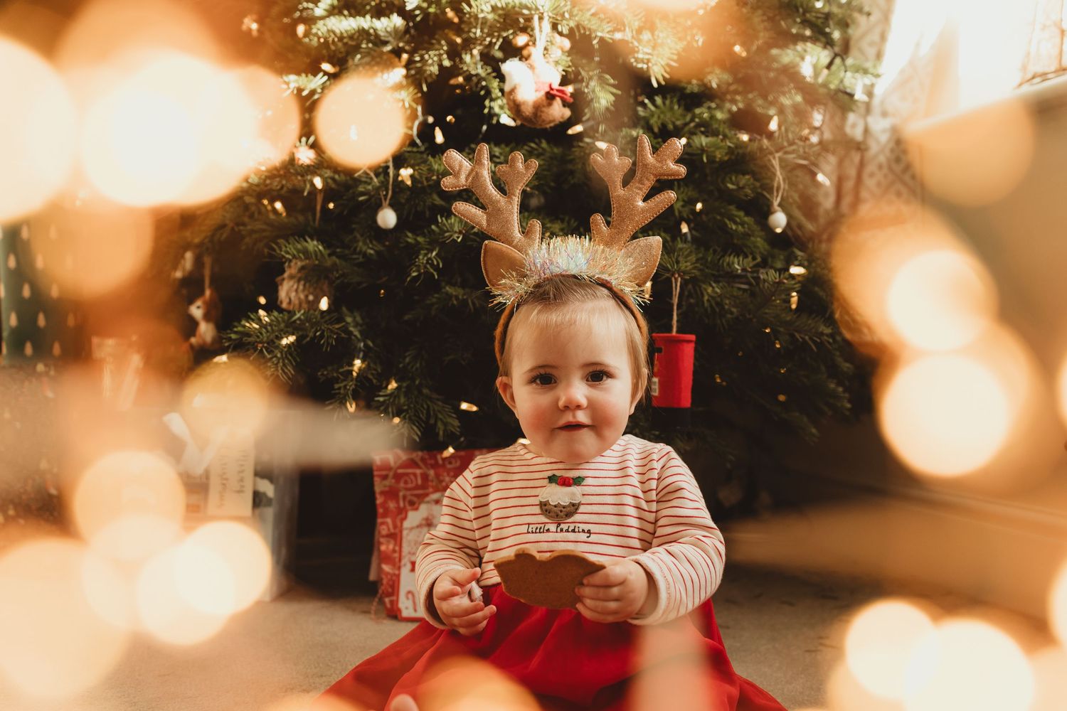 Blurred Christmas tree and holiday lights create a warm bokeh effect in a cozy living room setting.