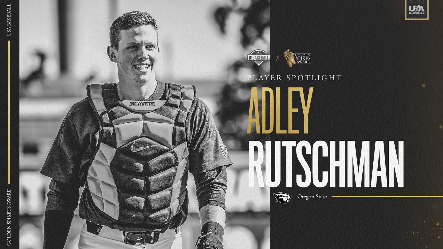 Adley Rutschman Oregon State player spotlight feature graphic for the Golden Spikes Award in catcher gear.
