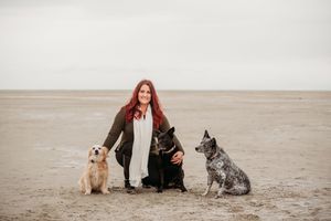 Three dogs sitting with their owner on a sandy beach during a cloudy day.