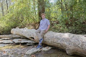 Person walking along fallen tree trunk in wooded natural setting.
