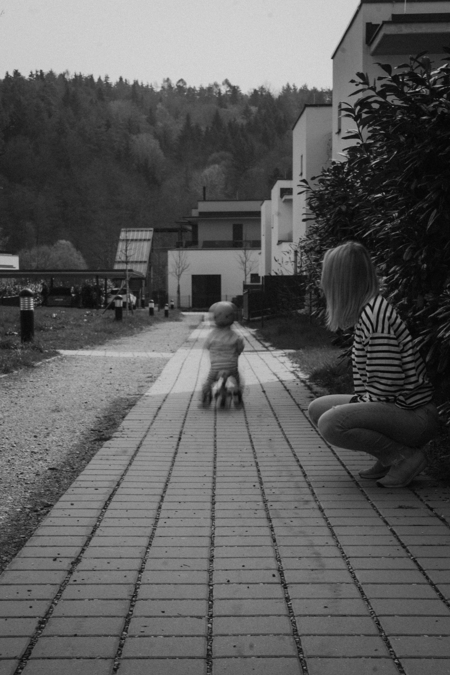 Black and white image of a brick pathway leading to residential buildings with trees and hills in the background.