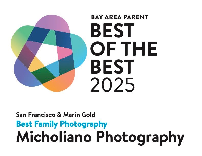 Colorful geometric star-shaped logo for Bay Area Parent Best of the Best 2025 award for Micholiano Photography.