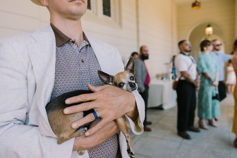 Guest arrives at Geneva Terrace wedding ceremony holding a dog  under the portico.