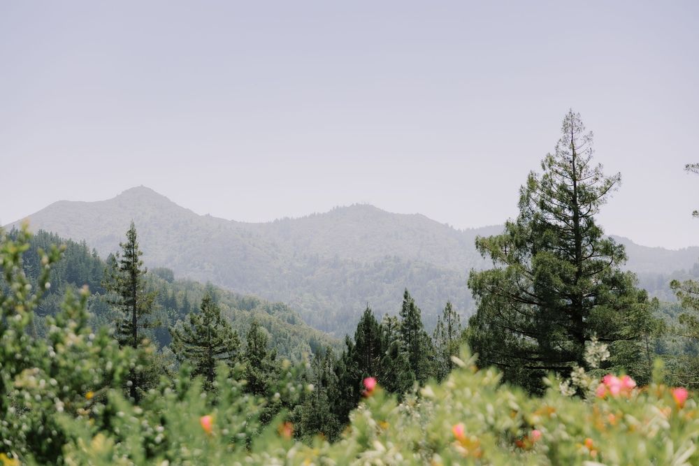 Landscape view of Marin hills and forested ridge near Geneva Terrace at Redlands University.