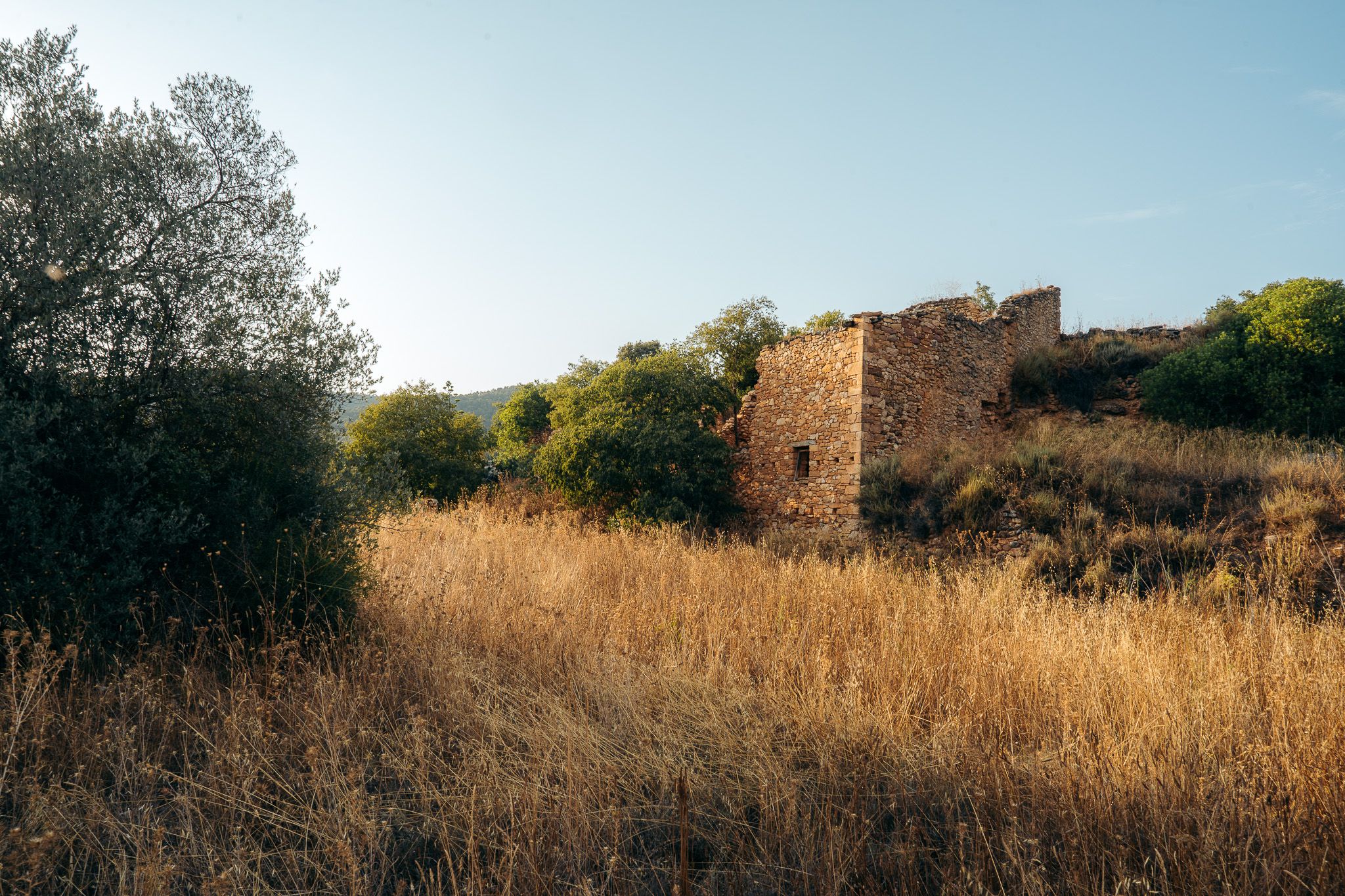 Ancient stone ruins stand against a clear sky in a dry grass landscape.