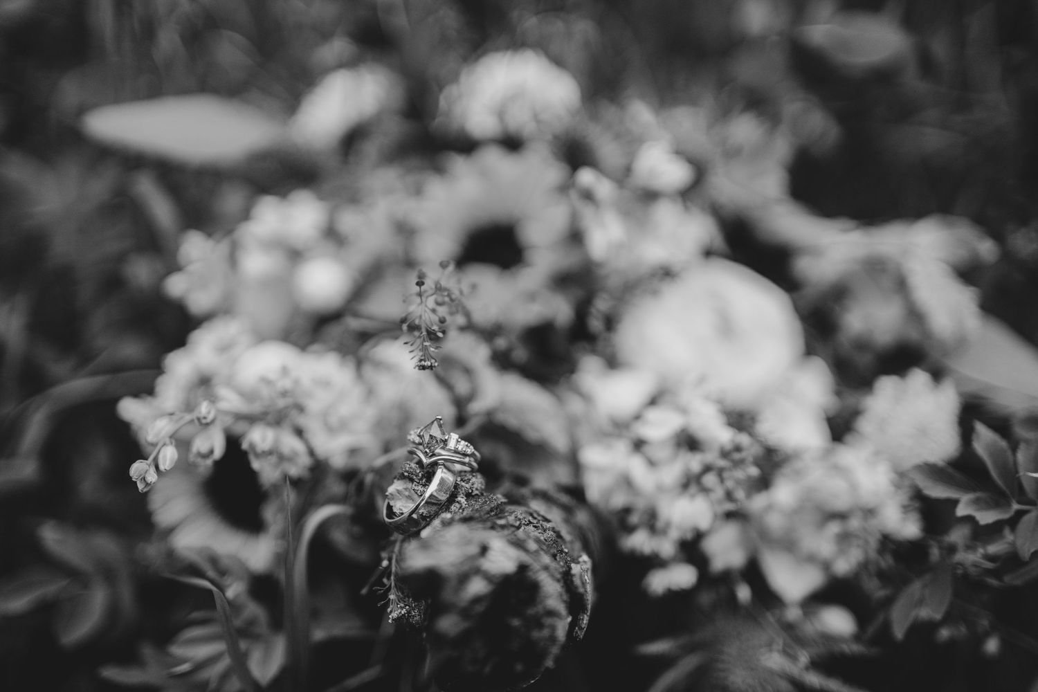 Grayscale close-up of delicate flowers and foliage with soft bokeh effect in the background.