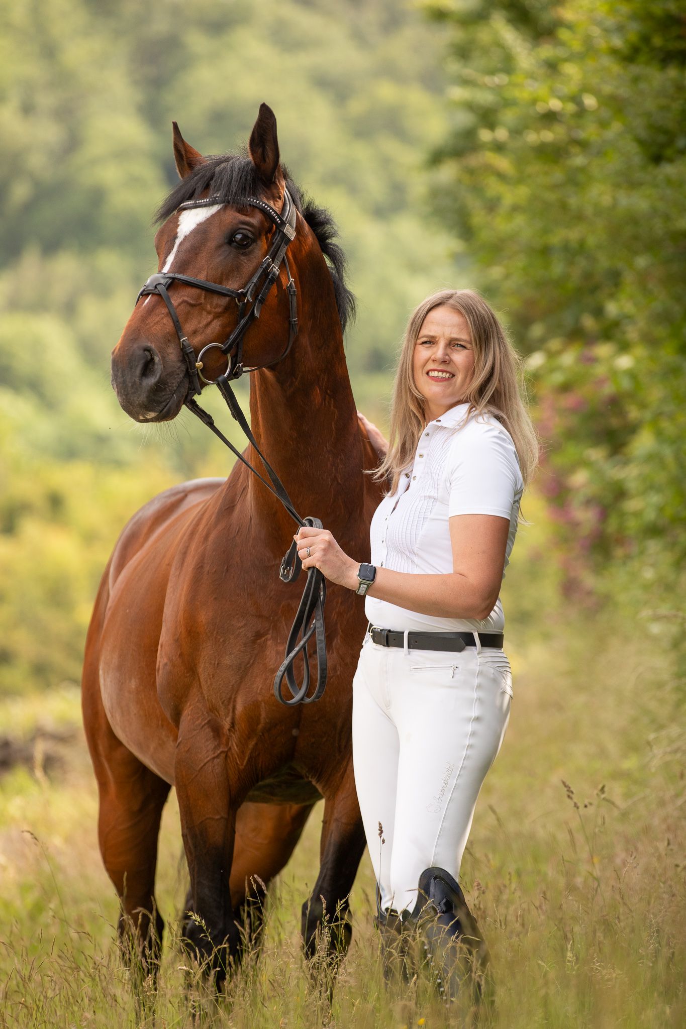 Beautiful bay horse with bridle stands in tall grass on sunny day with equestrian companion in white riding attire.