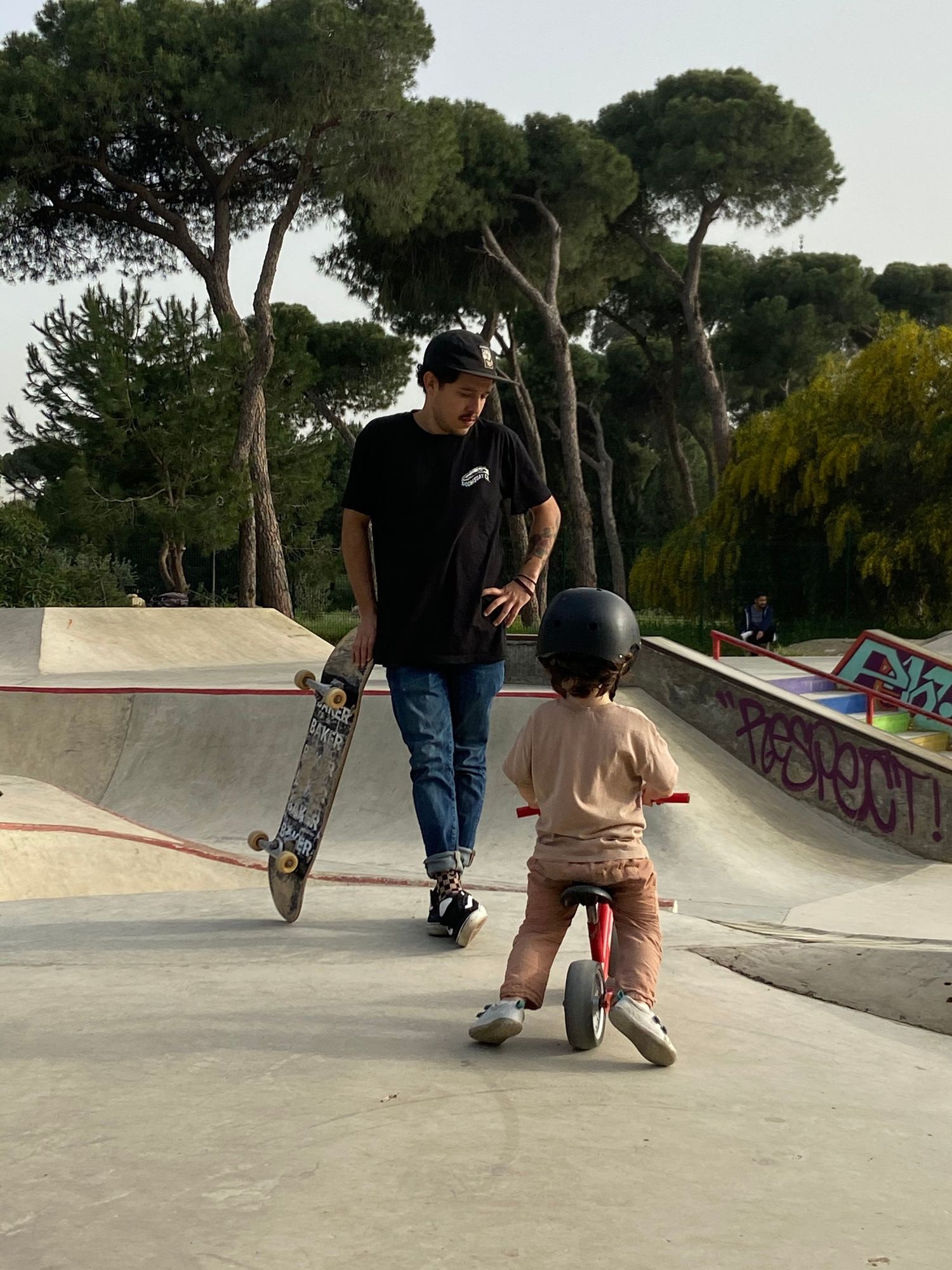 Skaters at a concrete skate park with tall pine trees in the background on a sunny day.