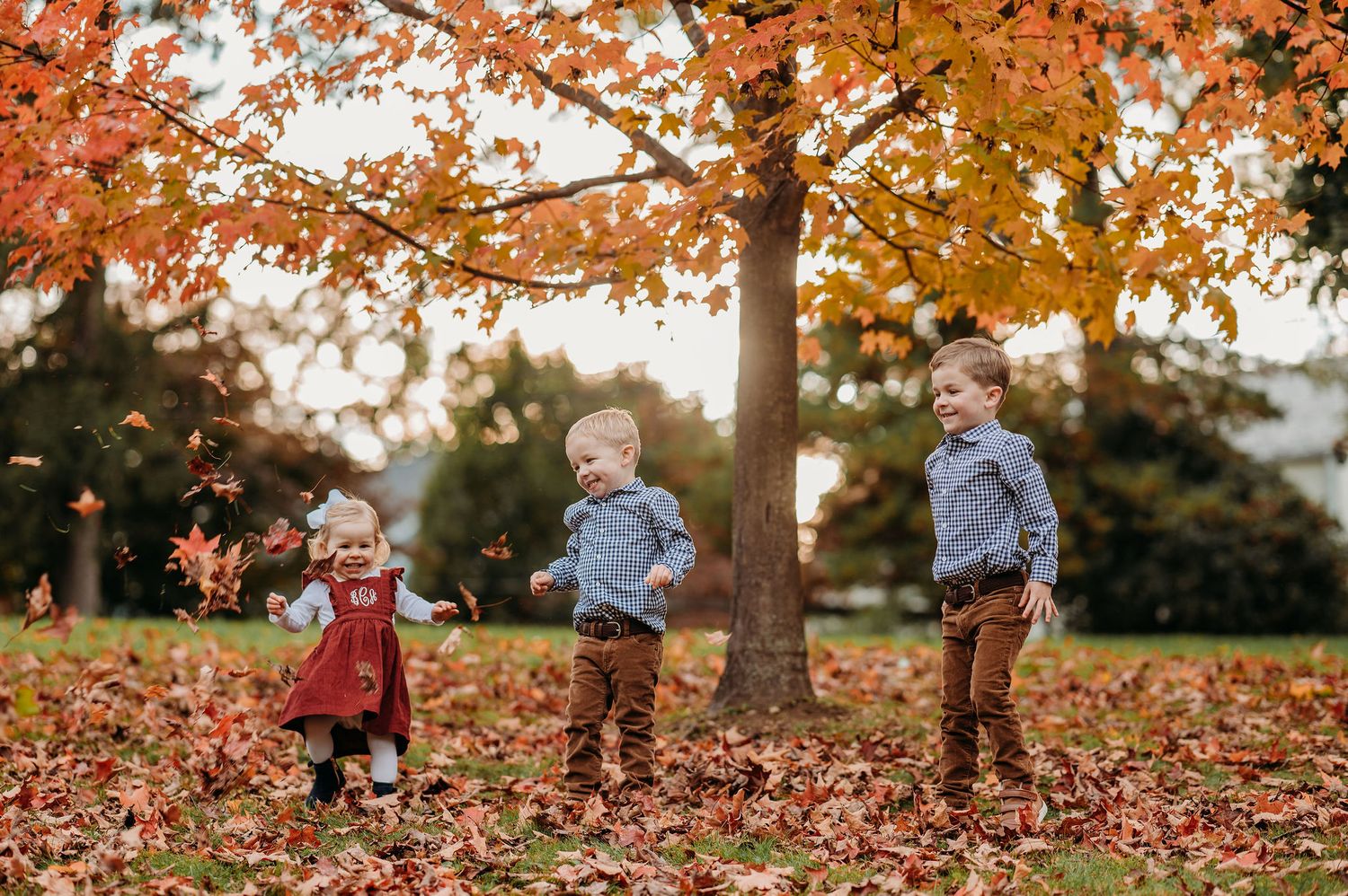 Small children play and laugh together among colorful autumn leaves beneath a maple tree with golden foliage in Summit, NJ.