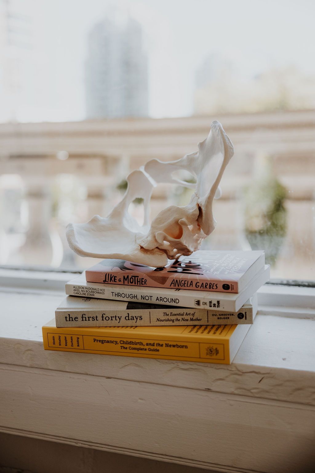 pelvis model atop stacked doula books on a window frame