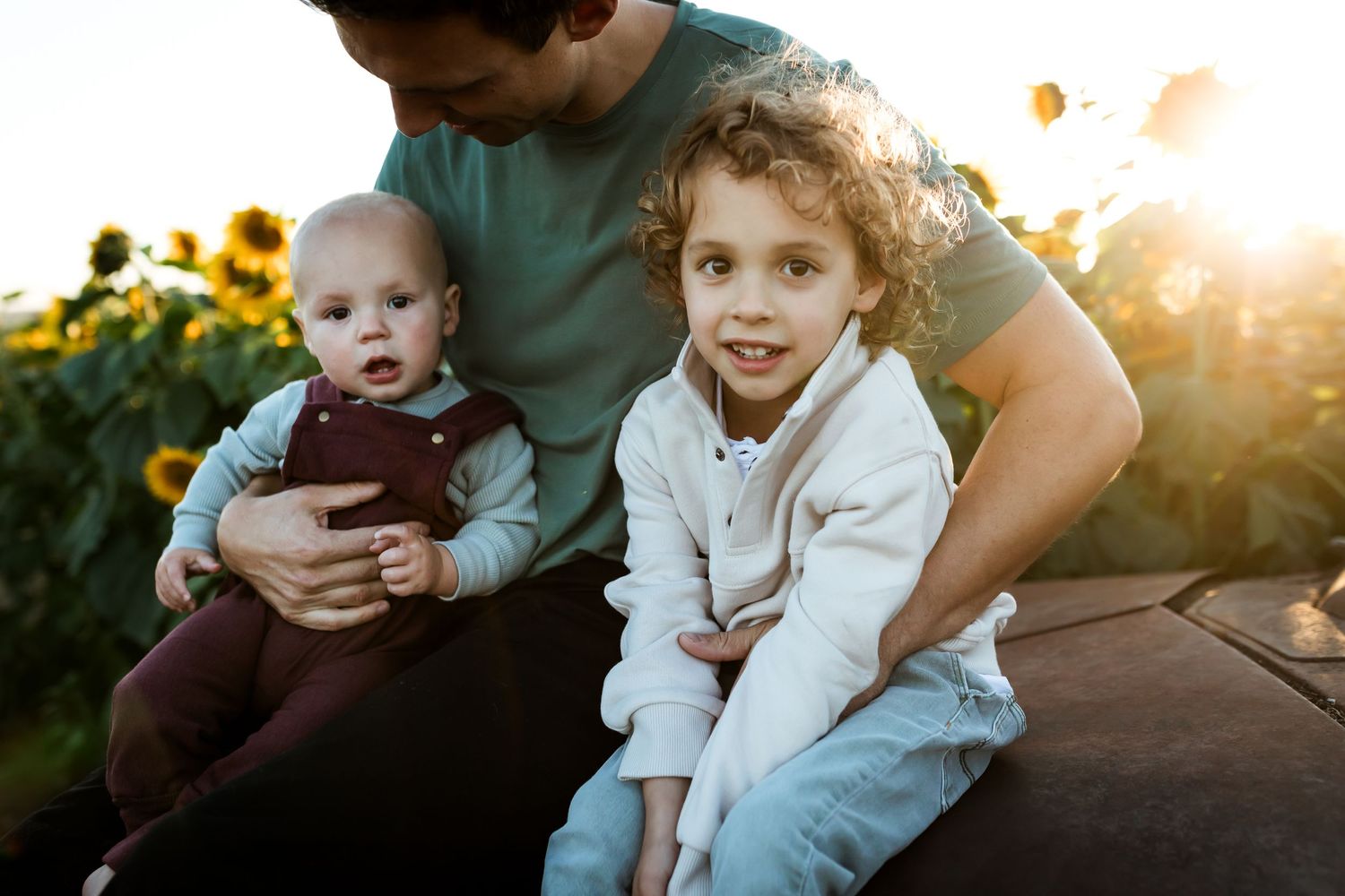 Sunflower photo session during golden hour at Bowden Sunmaze by Calgary lifestyle photographer.