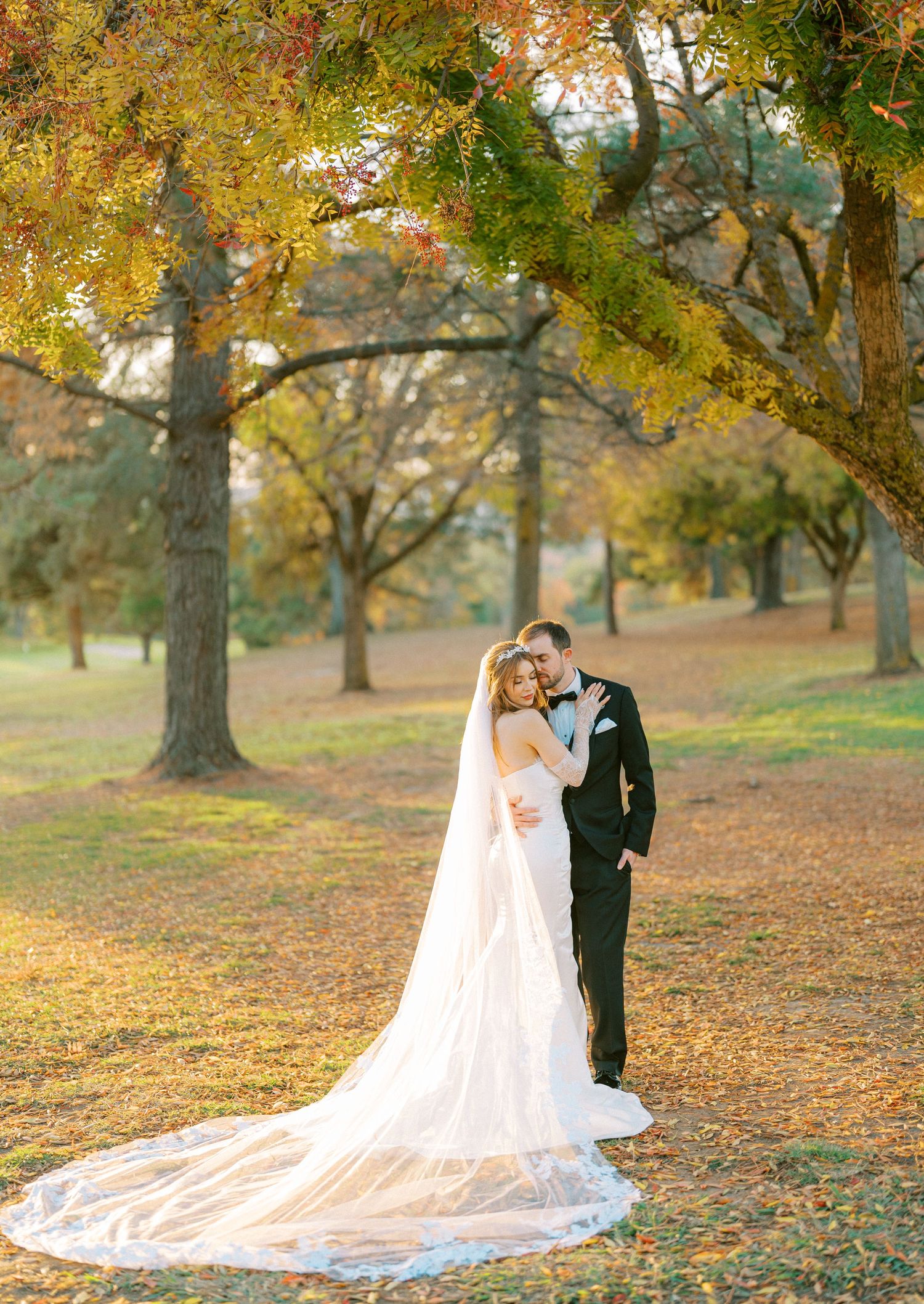 A romantic fall wedding photo showing a couple under golden trees with a long flowing veil trailing behind.