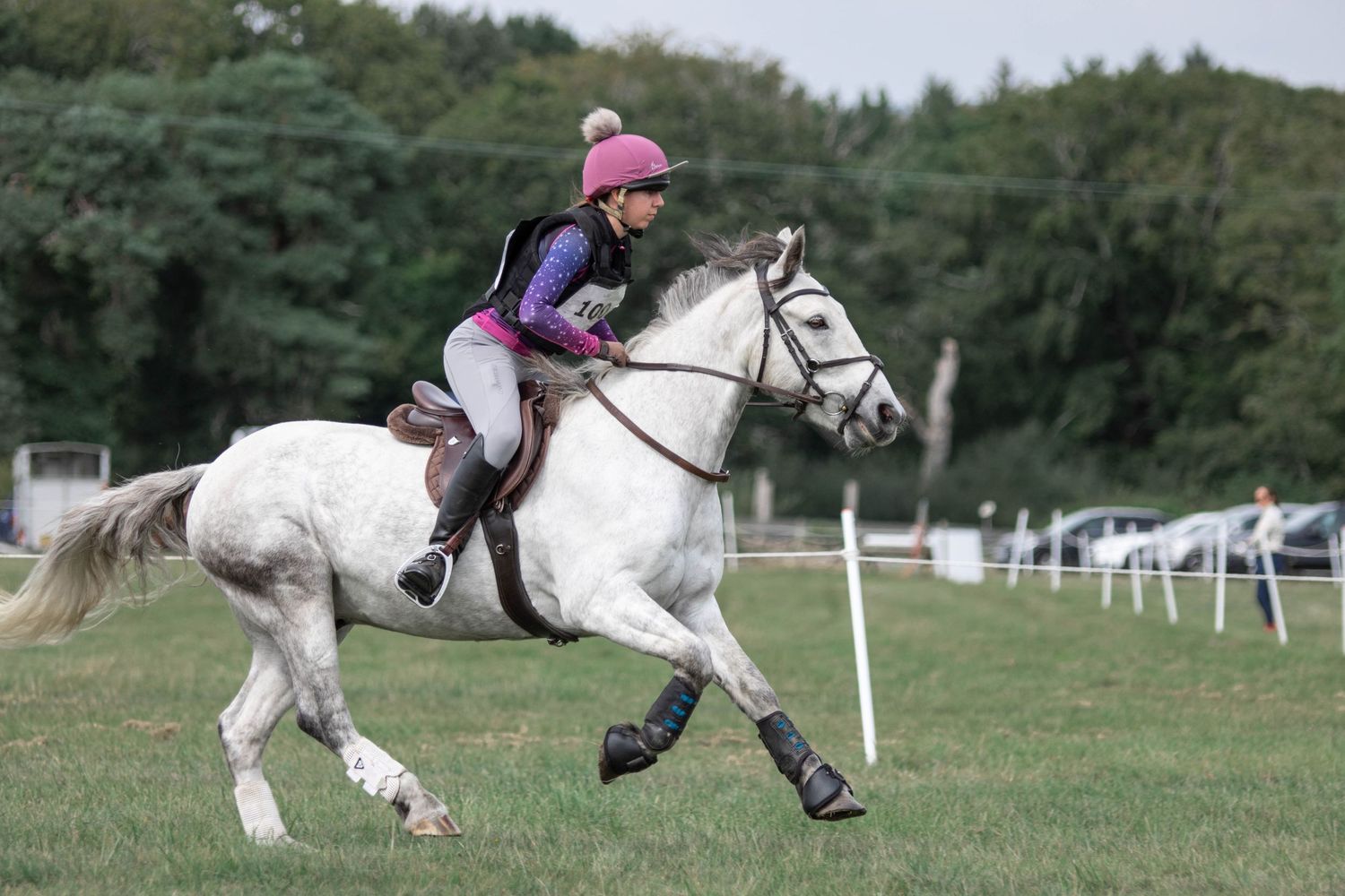 Series showing a horse and rider performing jumps on an equestrian course.