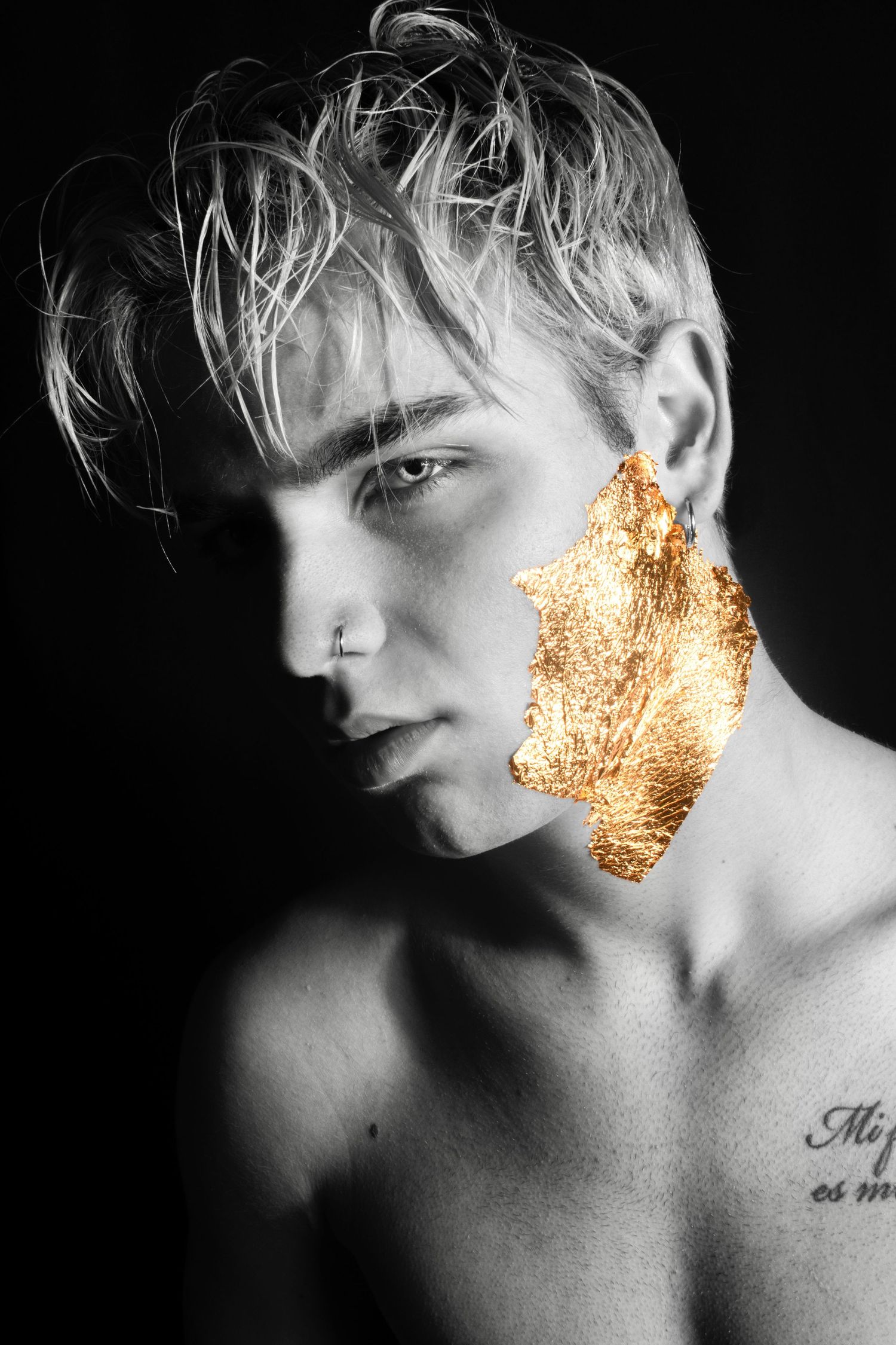 Dramatic monochrome portrait featuring metallic gold leaf details on the cheek.