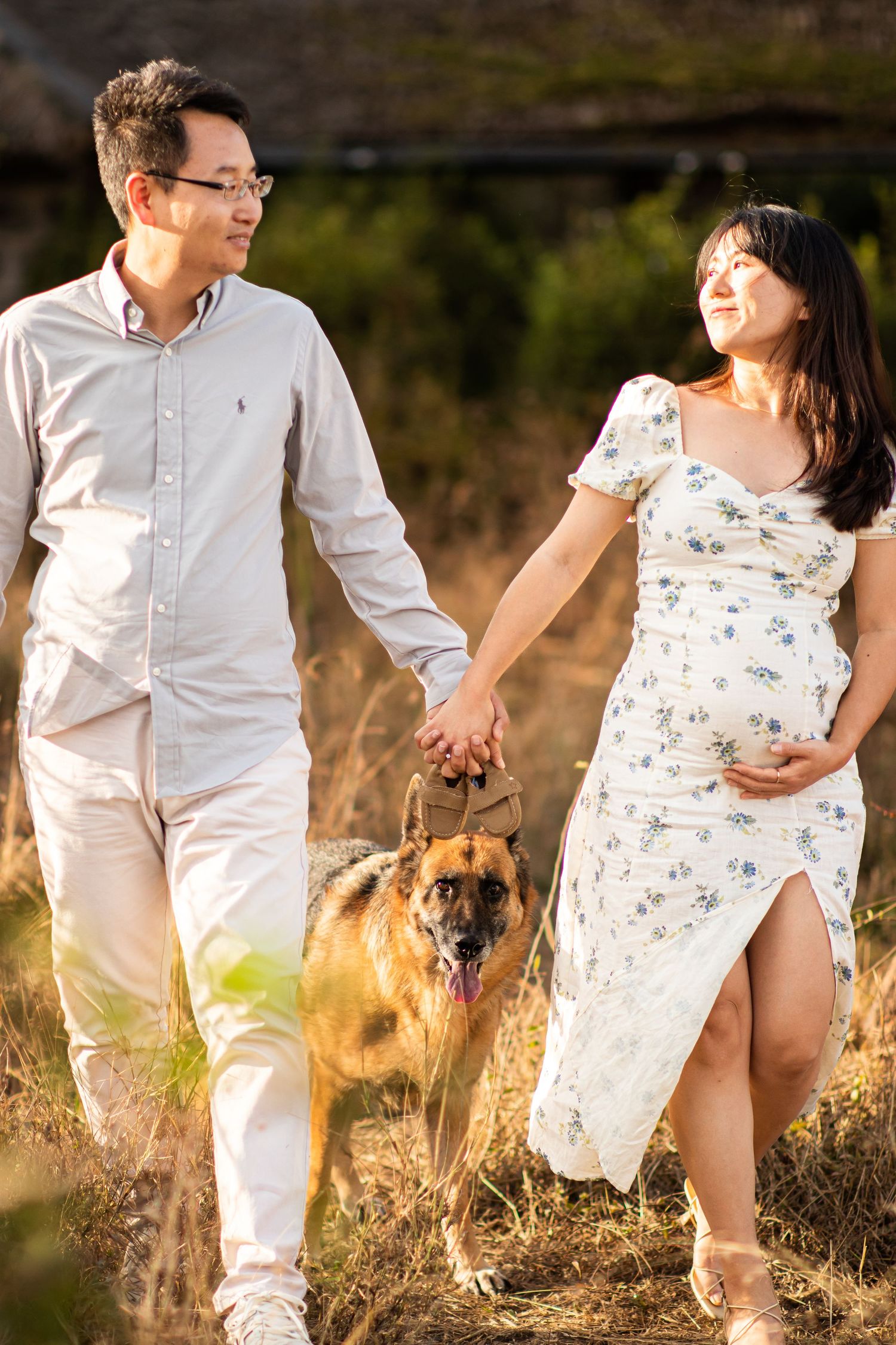 Maternity shoot with dog