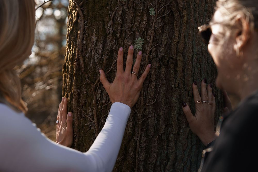 Two women place their hands on the rough bark of a large tree trunk in a sunlit forest setting.