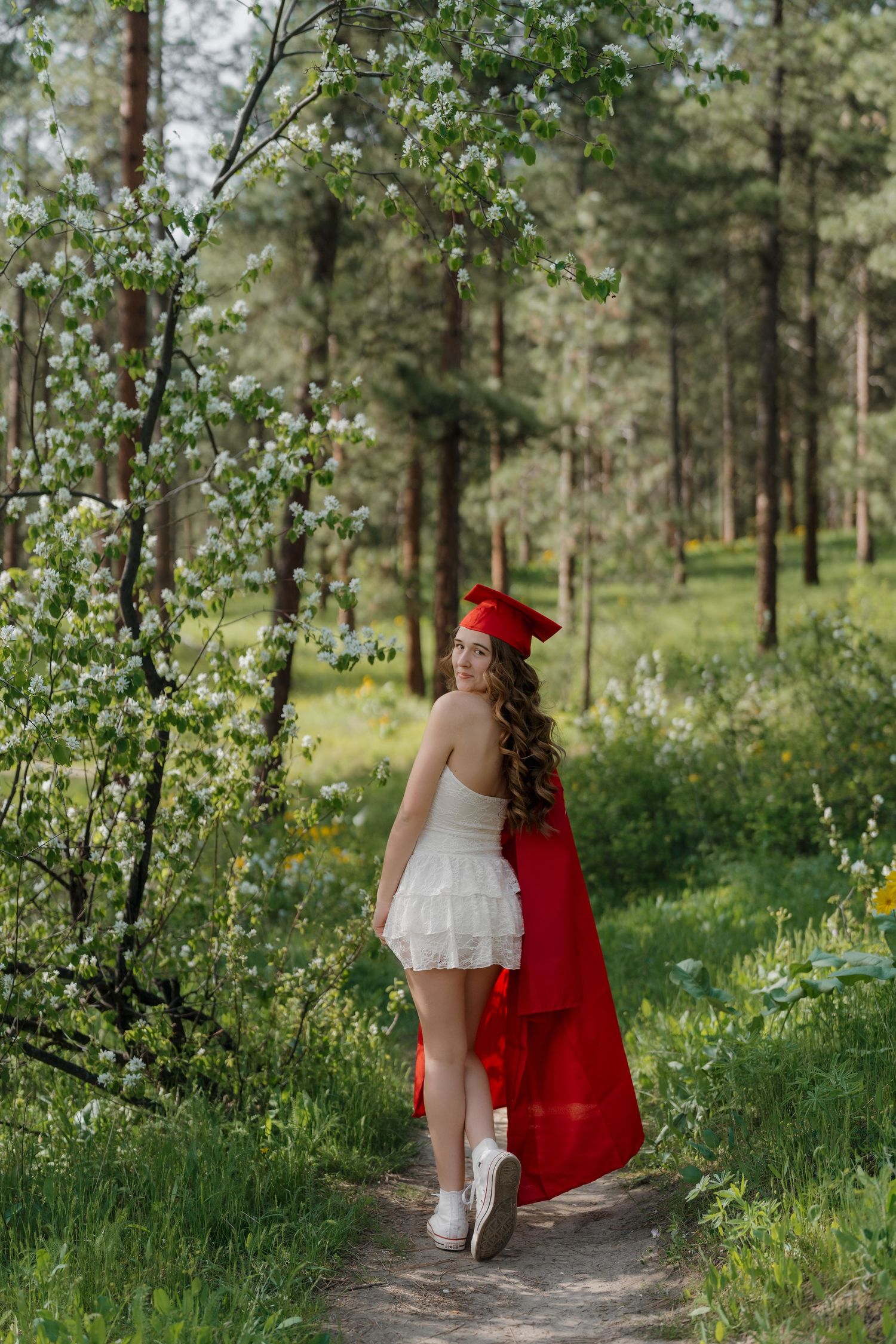Young woman in white dress and red graduation cap and gown walks a forest path among spring blossoms.