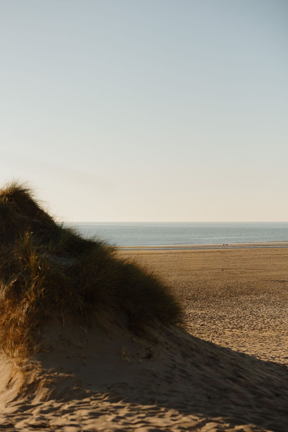 Sandy beach with grass-covered dunes in golden light, calm ocean horizon under a clear sky.