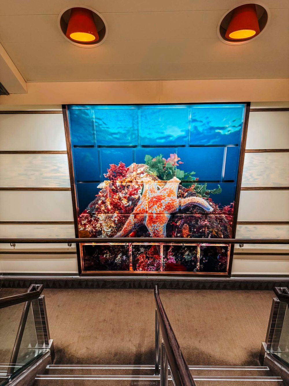 Large video wall display showing a vibrant underwater scene with a starfish and coral reef above an escalator.