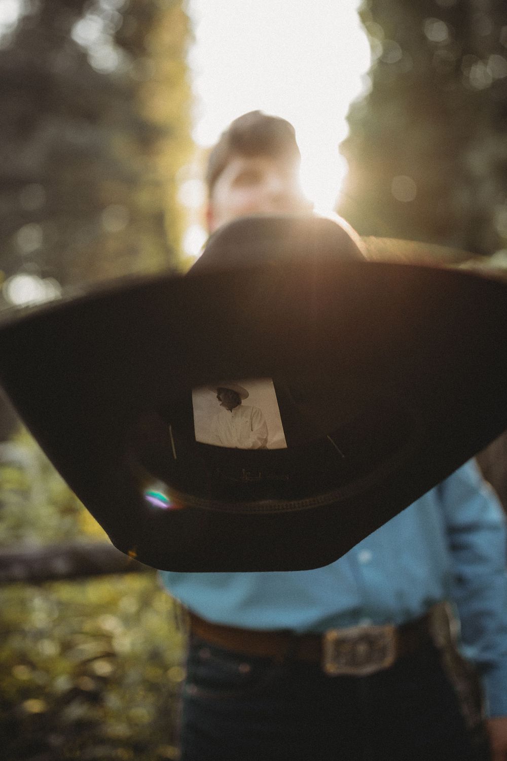 A black cowboy hat with a pin silhouetted against sunlit forest trees in golden light.