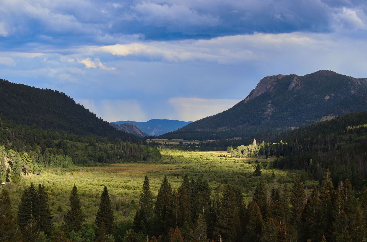 Horseshoe Park as seen from Old Fall River Road in Rocky Mountain National Park