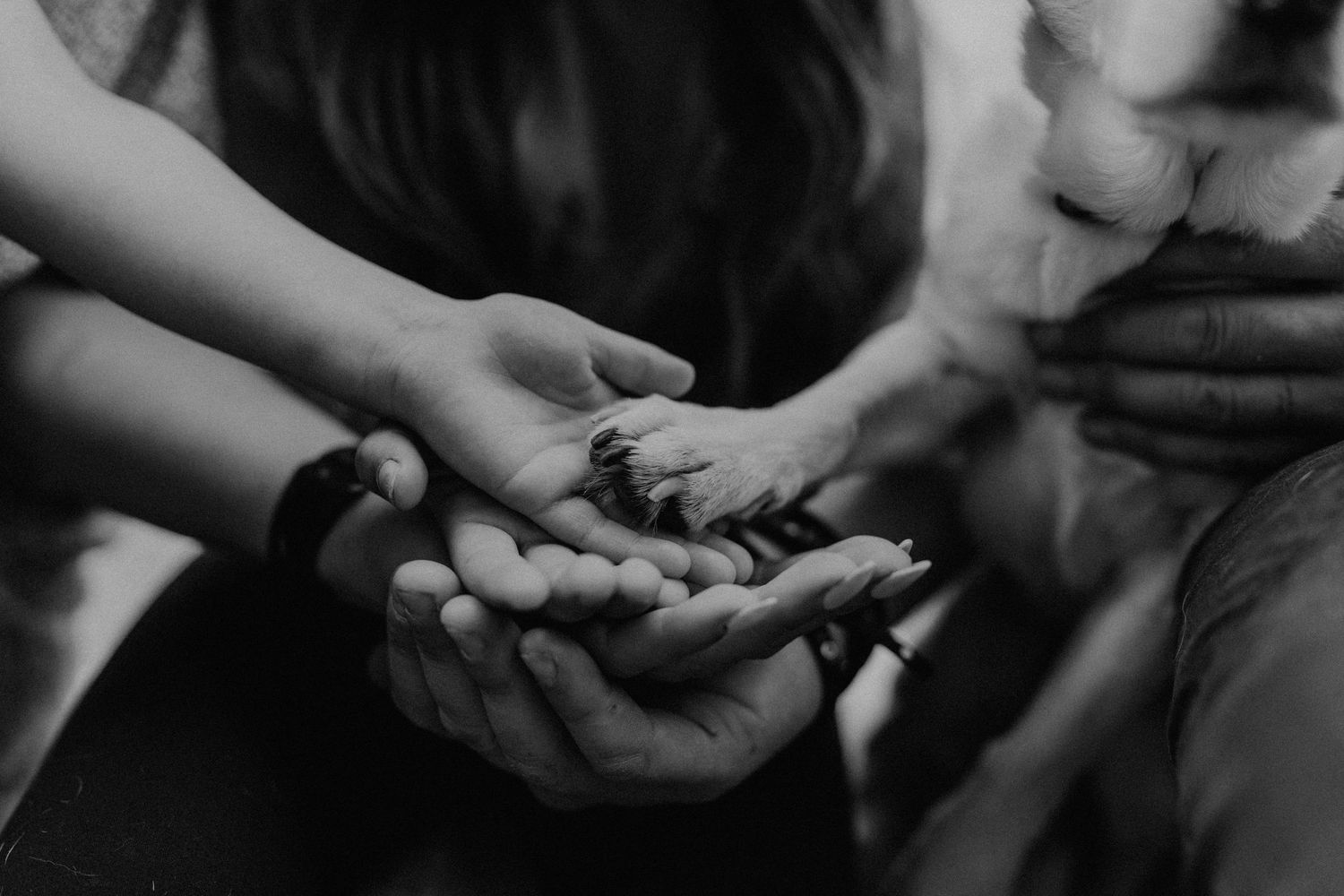 Black and white photo of multiple generations of hands held together, symbolizing family unity and connection.