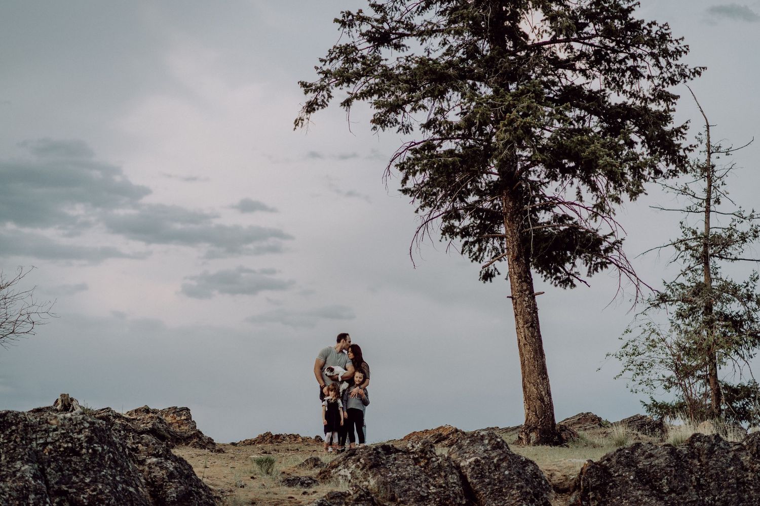 Couple embracing on rocky hilltop beside tall pine tree under dramatic cloudy sky in outdoor engagement photo.