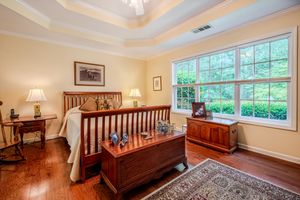 Elegant master bedroom with hardwood floors, tray ceiling, wooden sleigh bed, antique chest, and large windows overlooking lush greenery.