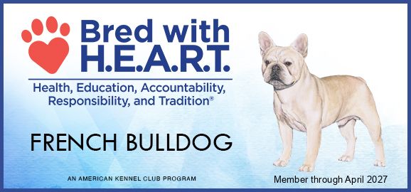 AKC Bred with H.E.A.R.T. certificate for a French Bulldog, Member through April 2027.